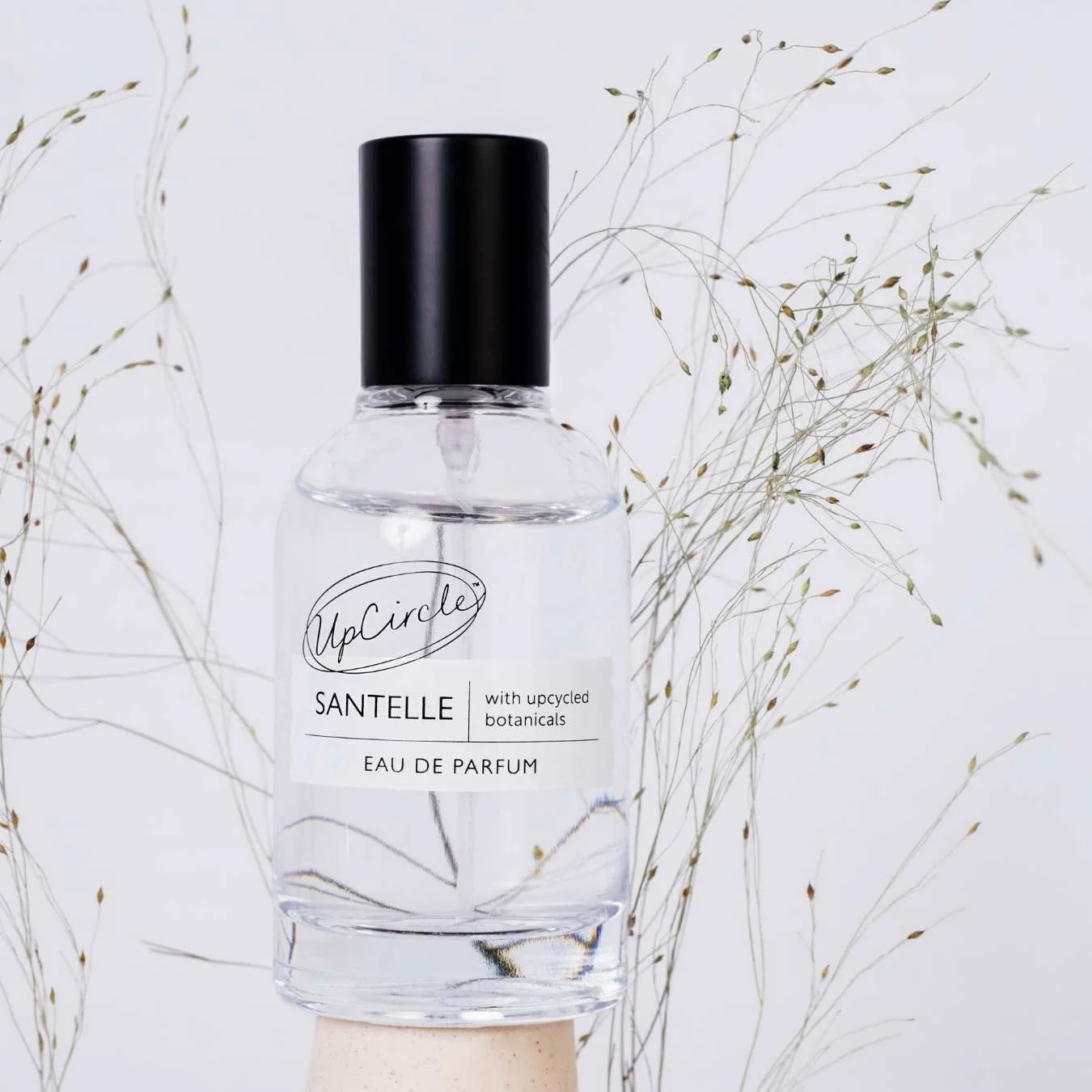 Santelle Eau De Parfum - Image 5